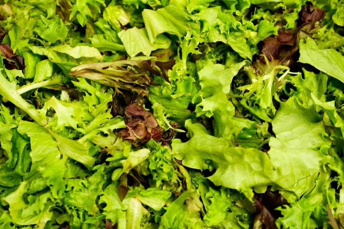Mixed Greens