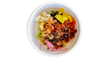 Salmon Bowl poke bowl at Poke Toki Grand Rapids